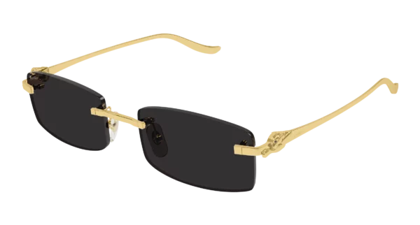 Lunettes de soleil Cartier CT0552S-001  M