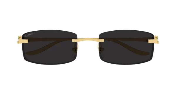 Lunettes de soleil Cartier CT0552S-001  M – Image 2