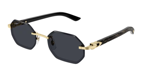 Lunettes de soleil Cartier CT0439S-001 L - 1